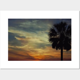 Florida sunset with Palm Tree Posters and Art